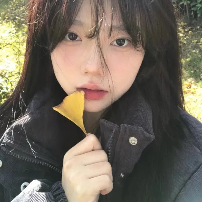 独眼查理