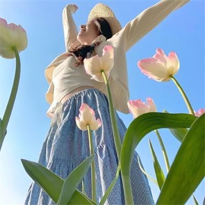 和歌子酒第六季